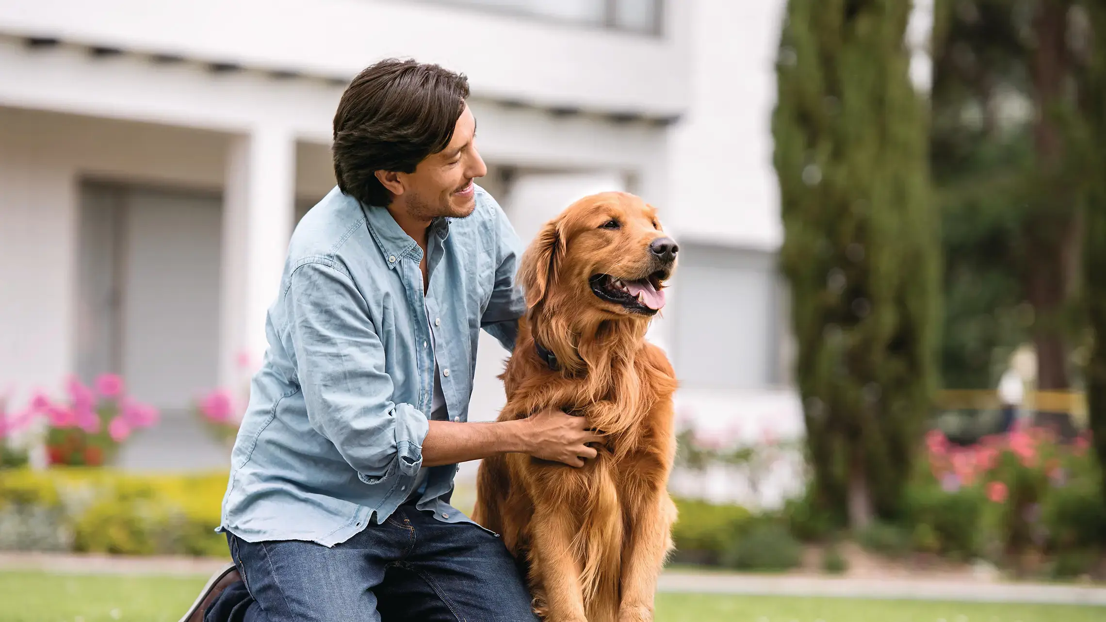 Hundeversicherung Komplettpaket: Schutz und Sicherheit für Ihren pelzigen Freund